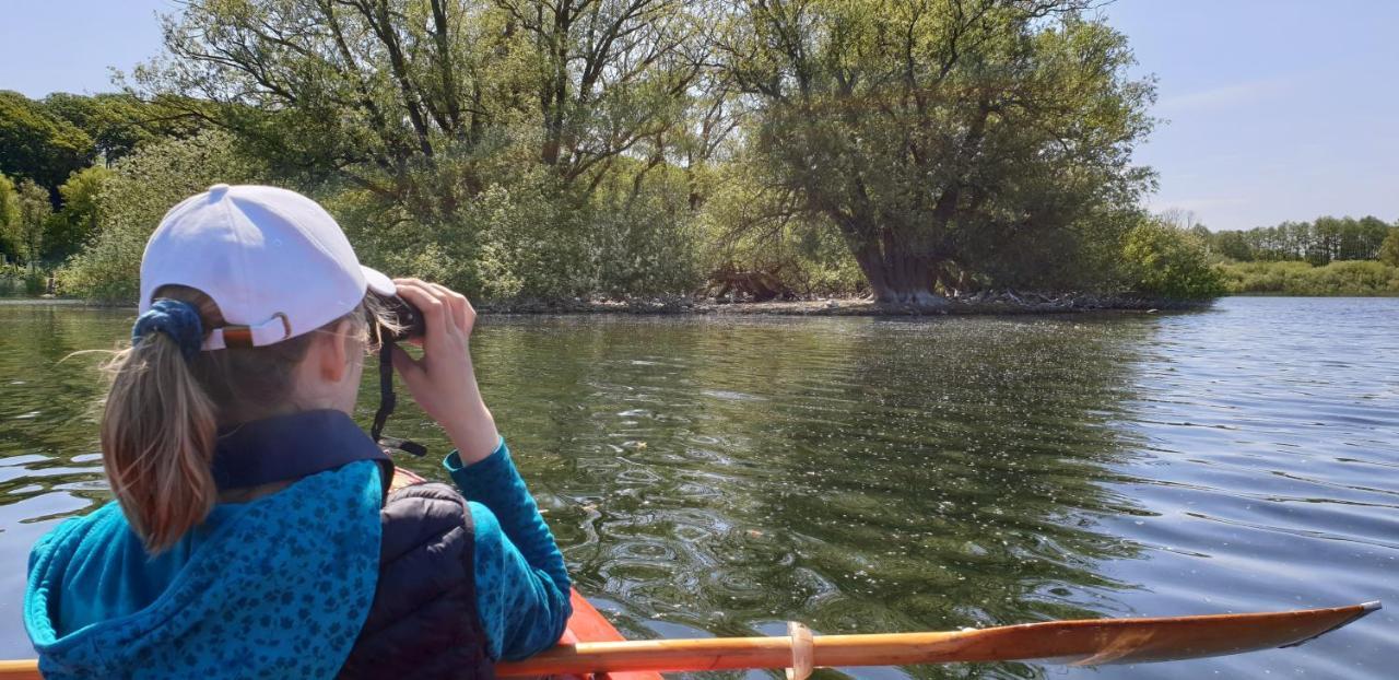 Plön Ferienwohnungen Am Schwanensee מראה חיצוני תמונה