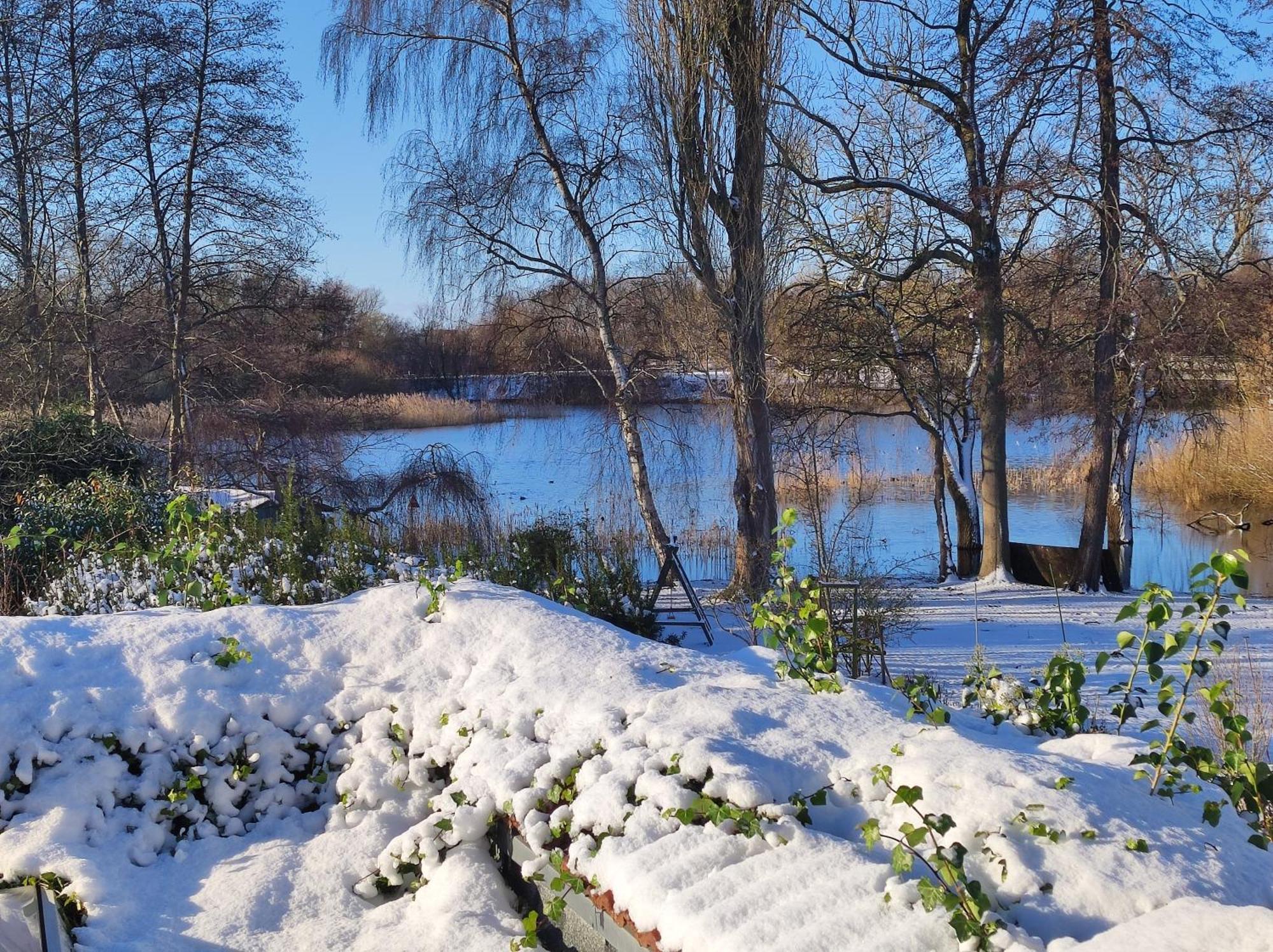 Plön Ferienwohnungen Am Schwanensee מראה חיצוני תמונה